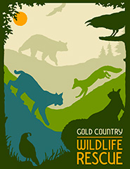 GOLD-COUNTRY