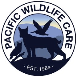 Pacific-Wildlife-Care-Logo-2021