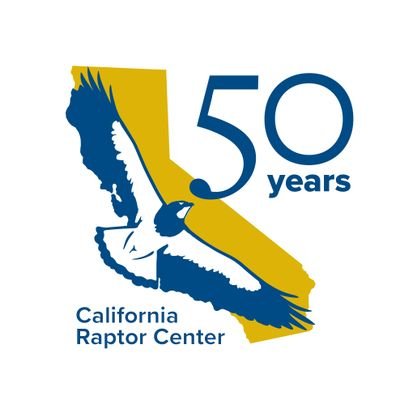 RAPTOR-2