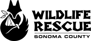 SCWR