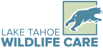 TAHOE