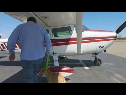 21 Animal Rescue Flight